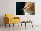 Leinwandbild Kitten Nase - SoiréeArts