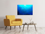 Leinwandbild Fischwelt - SoiréeArts