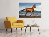Leinwandbild Ein Vollblutpferd am Meer - SoiréeArts