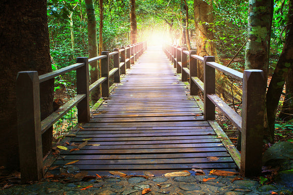 Fototapete Die Brücke im Wald