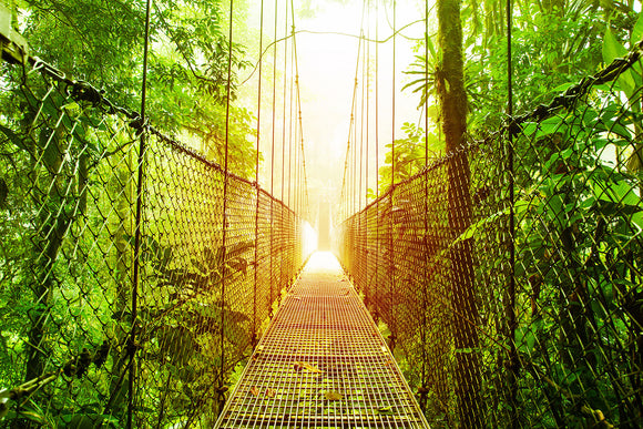 Fototapete Hängebrücke