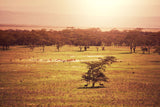 Fototapete Malerisches Afrika