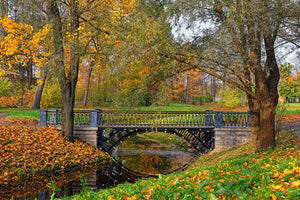 Fototapete Romantischer Park