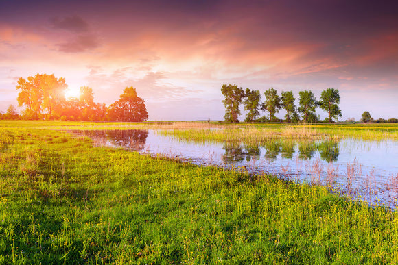 Fototapete Sonnenuntergang am See