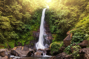 Fototapete Wasserfall Bali