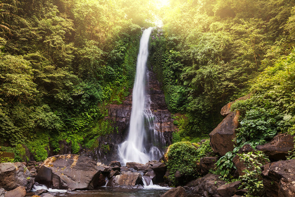 Fototapete Wasserfall Bali