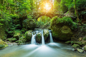 Fototapete Wasserspiegelungen