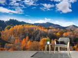 Fototapete Wolken ziehen auf - SoiréeArts