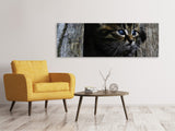 Leinwandbild Panorama Katzen Kind - SoiréeArts