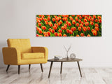 Leinwandbild Panorama Tulpenfeld in orange - SoiréeArts