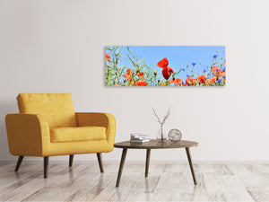 Leinwandbild Panorama Der Mohn in der Blumenwiese