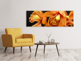 Leinwandbild Panorama Orchideen mit orangen Blüten - SoiréeArts