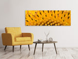 Leinwandbild Panorama Die Knospen der Sonnenblume in XXL - SoiréeArts