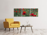 Panorama Leinwandbild 3-teilig Wilder Mohn - SoiréeArts