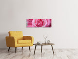 Panorama Leinwandbild 3-teilig Rosen Makro - SoiréeArts