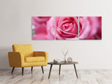 Panorama Leinwandbild 3-teilig Rosen Makro - SoiréeArts