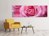 Panorama Leinwandbild 3-teilig Rosen Makro - SoiréeArts