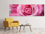 Panorama Leinwandbild 3-teilig Rosen Makro - SoiréeArts