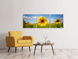 Panorama Leinwandbild 3-teilig Sommer-Sonnenblumen - SoiréeArts