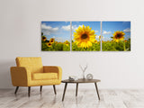 Panorama Leinwandbild 3-teilig Sommer-Sonnenblumen - SoiréeArts