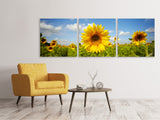 Panorama Leinwandbild 3-teilig Sommer-Sonnenblumen - SoiréeArts