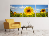 Panorama Leinwandbild 3-teilig Sommer-Sonnenblumen - SoiréeArts