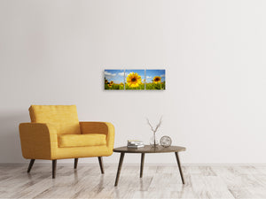 Panorama Leinwandbild 3-teilig Sommer-Sonnenblumen