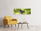 Panorama Leinwandbild 3-teilig Papilio Schmetterling XXL - SoiréeArts