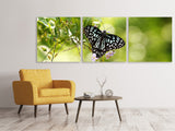 Panorama Leinwandbild 3-teilig Papilio Schmetterling XXL - SoiréeArts