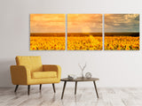 Panorama Leinwandbild 3-teilig Goldenes Licht für Sonnenblumen - SoiréeArts