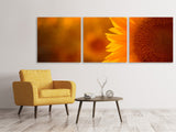 Panorama Leinwandbild 3-teilig Macro-Sonnenblume - SoiréeArts