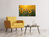 Leinwandbild Sonnenblumen Feld - SoiréeArts