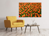 Leinwandbild Tulpenfeld in orange - SoiréeArts