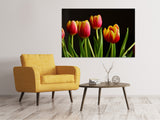 Leinwandbild Farbenfrohe Tulpen - SoiréeArts