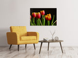 Leinwandbild Farbenfrohe Tulpen - SoiréeArts