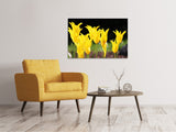 Leinwandbild Gelbe Tulpen in der Natur - SoiréeArts