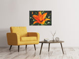 Leinwandbild Lilien Blüte in orange XL - SoiréeArts