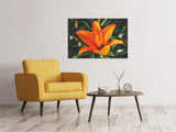 Leinwandbild Lilien Blüte in orange XL - SoiréeArts