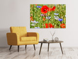 Leinwandbild Der wilde Mohn XL - SoiréeArts