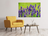 Leinwandbild Schöner Lavendel - SoiréeArts