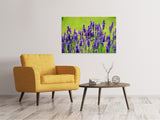 Leinwandbild Schöner Lavendel - SoiréeArts