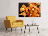 Leinwandbild Orchideen mit orangen Blüten - SoiréeArts