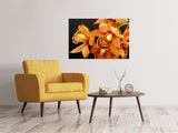 Leinwandbild Orchideen mit orangen Blüten - SoiréeArts