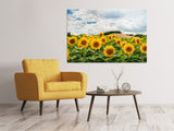 Leinwandbild Landschaft mit Sonnenblumen - SoiréeArts