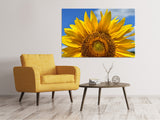 Leinwandbild Sonnenblume in XXL - SoiréeArts