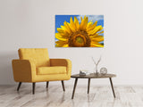 Leinwandbild Sonnenblume in XXL - SoiréeArts