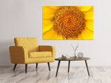 Leinwandbild Wunderschöne Knospen der Sonnenblume - SoiréeArts