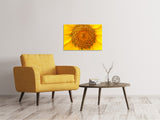 Leinwandbild Wunderschöne Knospen der Sonnenblume - SoiréeArts