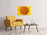 Leinwandbild Wunderschöne Knospen der Sonnenblume - SoiréeArts