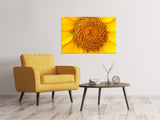 Leinwandbild Wunderschöne Knospen der Sonnenblume - SoiréeArts